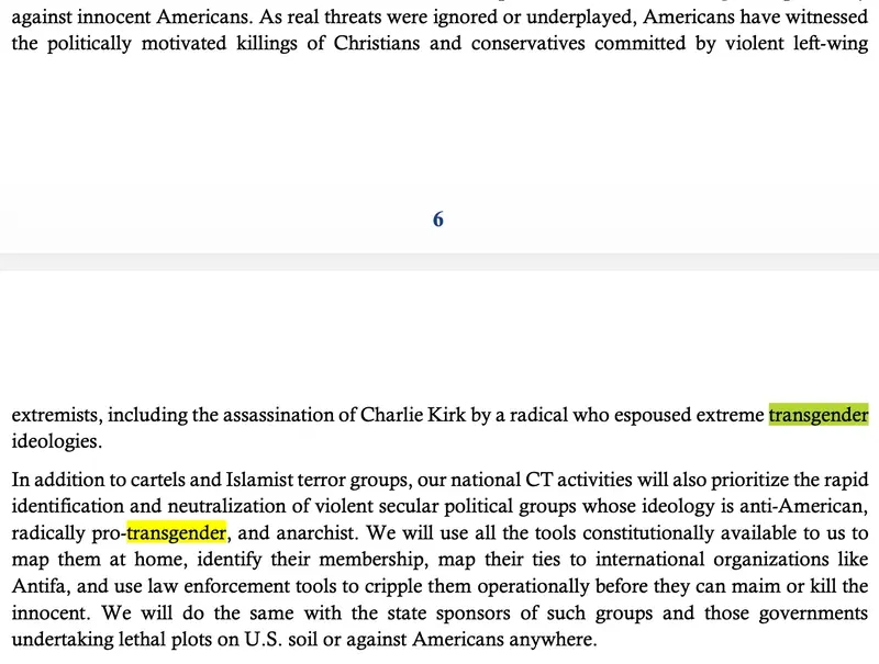 counterterrorism strategy Screenshot of pages 5-6 of the national counterterrorism strategy by sebastian gorka