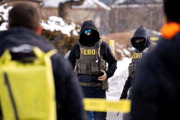 Ice whistleblower eros