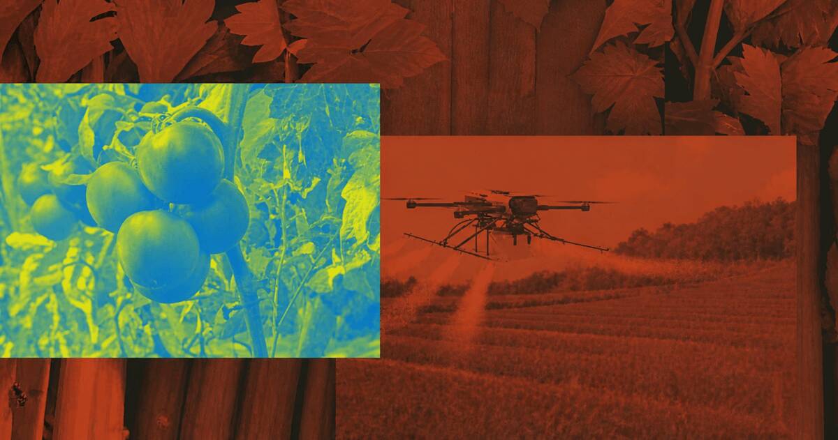 environmental deregulation pesticides Toxic pesticides graphic